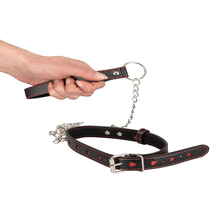 Collier & Laisse Cœurs