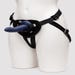 Kit gode ceinture Blue Velvet 5 pièces
