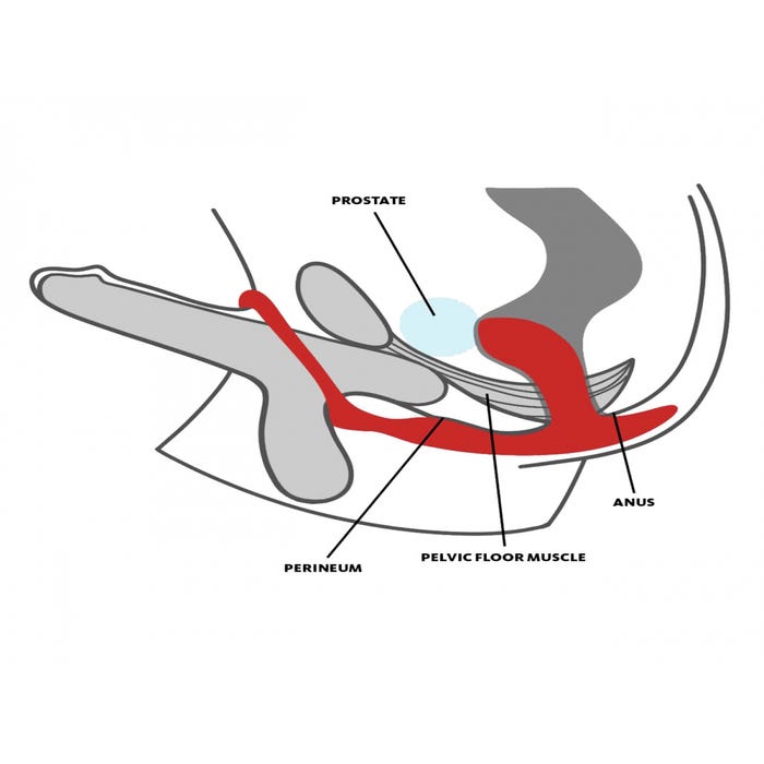 Plug anal et cockring Bootie Ring