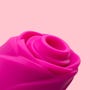 Kit découverte Rose Radiance Lovehoney x ROMP