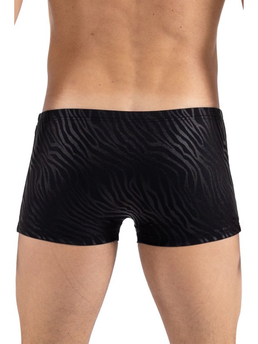 Boxer Zebra M