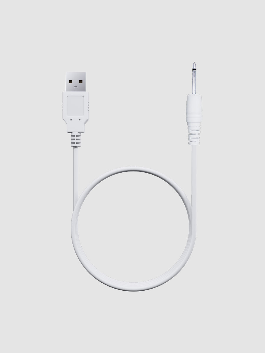 Câble de chargement USB pour Lovense Lush