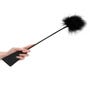 Cravache à plumes