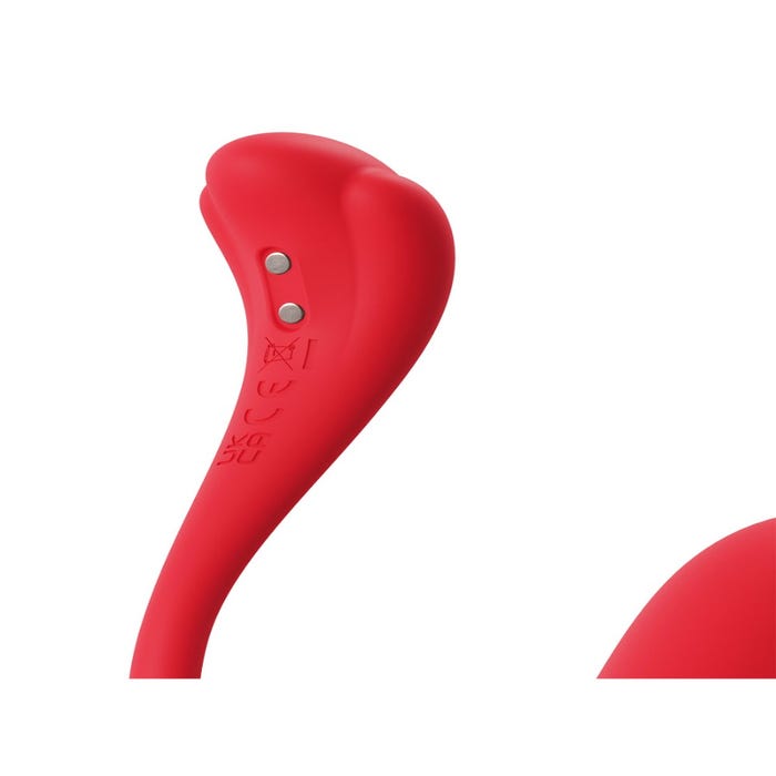 Oeuf vibrant connecté Phoenix Neo 2