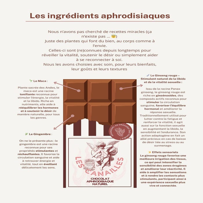 Tablette chocolat aphrodisiaque blanc, coco et goji 100 g